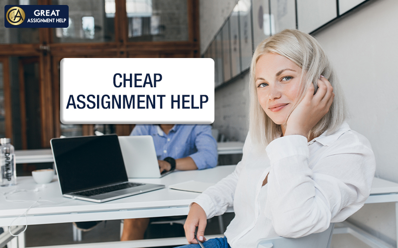 Assignment Help